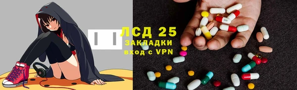 прущие грибы Нязепетровск