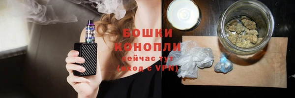 гашик Няндома