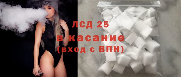 прущие грибы Нязепетровск