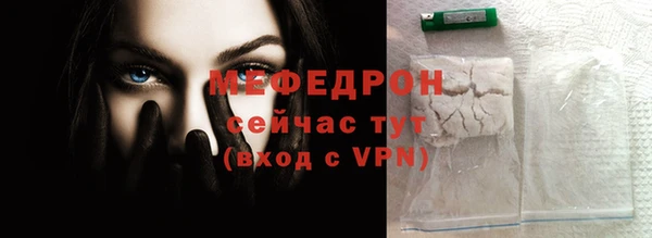 гашик Няндома