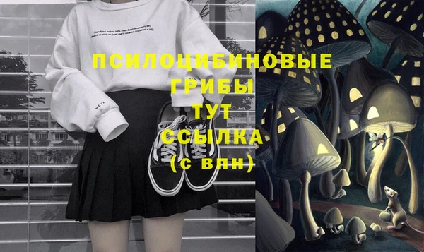 ALPHA PVP Нягань