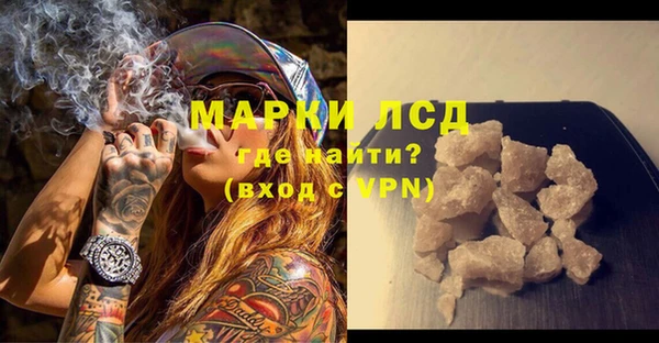 прущие грибы Нязепетровск