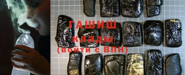 гашик Няндома