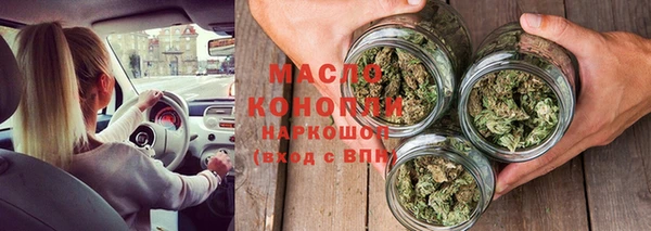 гашик Няндома