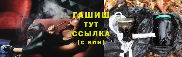 прущие грибы Нязепетровск