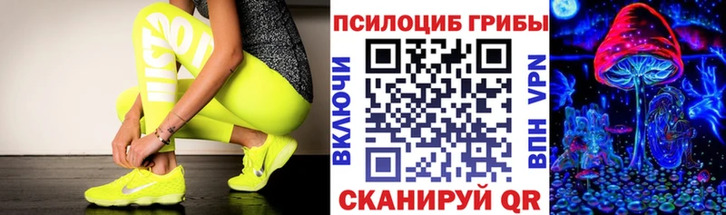 Псилоцибиновые грибы прущие грибы  Богородск 
