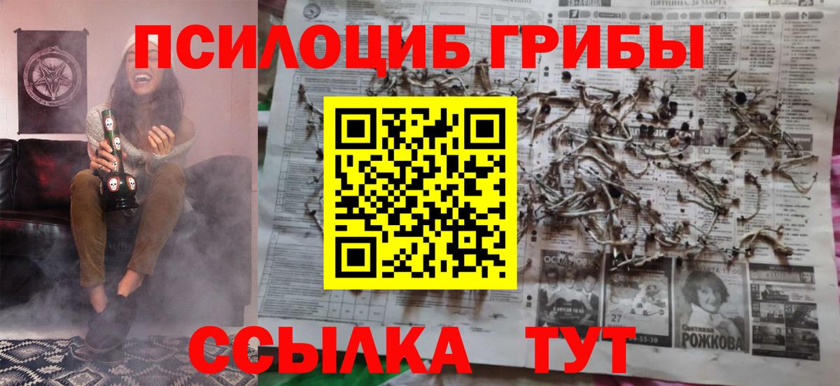 Псилоцибиновые грибы Cubensis  Галлюциногенные грибы Cubensis  Богородск 