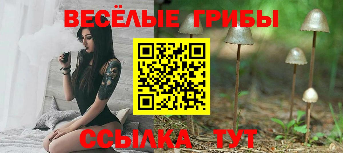 Бошки Шишки  Вход с VPN  Мефедрон   Богородск  ГАШИШ  КОКАИН 