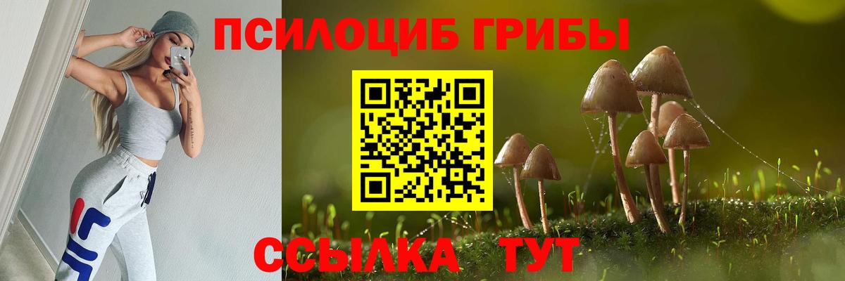 Псилоцибиновые грибы прущие грибы  Вход с VPN  Богородск  Галлюциногенные грибы прущие грибы 